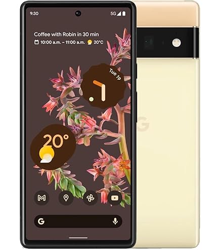 Google Pixel 6a Sage 128GB (GOPIXEL6ASAG128GBB) (Renewed) : Amazon